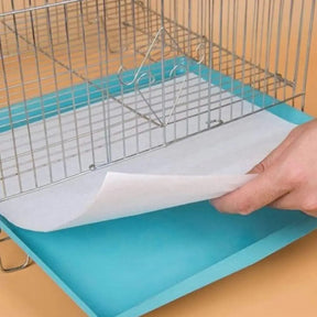 Papel Toalha Ultra Absorvente PipiPet - 50 Unidades UNISSEX - CASA - TOALHA PET Dm Stores 