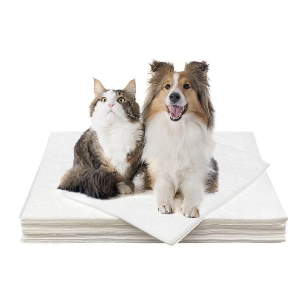 Papel Toalha Ultra Absorvente PipiPet - 50 Unidades UNISSEX - CASA - TOALHA PET Dm Stores 