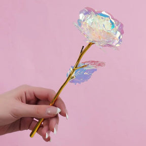 Rosa Galaxy Valentine - Compre 1 Leve 5 Presentes (Rosa Galaxy) Dm Stores 